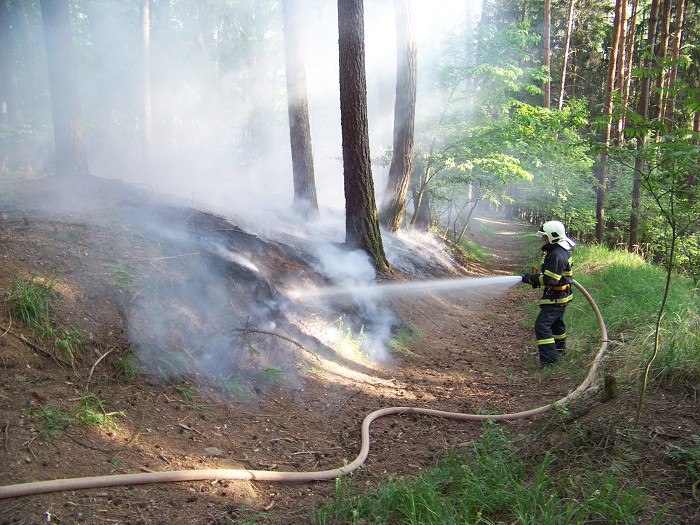 požár lesa požár lesa